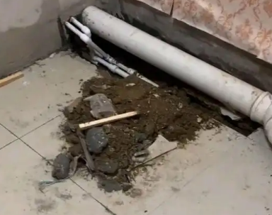江津卫生间漏水检测哪家好