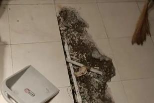 江津卫生间漏水检测电话